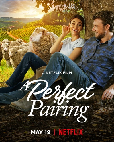 Bộ đôi hoàn mỹ (A Perfect Pairing) [2022]