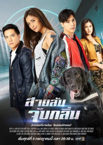 Điệp Viên Săn Mùi (Sai Lub Jub Klin) [2019]