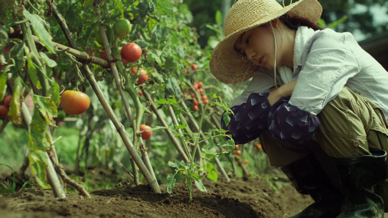 Little Forest: Summer/Autumn