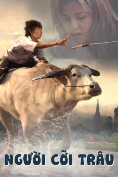 Người Cỡi Trâu (Buffalo Rider) [2015]